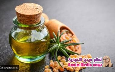 فوائد دكر اللبان للبشرة ووصفاته الطبيعية
