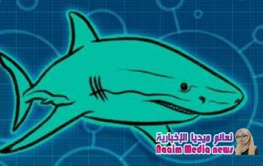 جلود أسماك القرش تُلهم باحثين للتصدي للبكتيريا