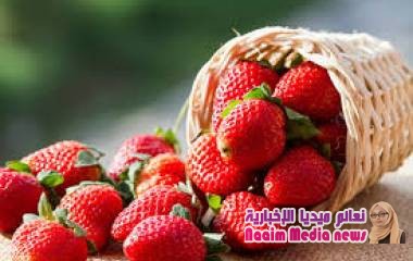 دراسة: الفراولة لعلاج أمراض التهاب الأمعاء المزمن