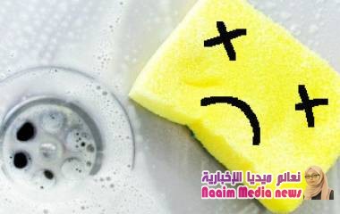 اسفنجة الصحون مزرعة البكتيريا القاتلة!