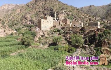 واصلو مسيركم ابطال مقاومتنا الجنوبية ... 