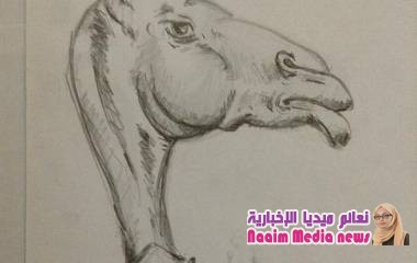 حلوه اقراها بتمعن