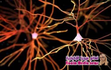 تشخيص نوع جديد من الخرف له نفس أعراض ألزهايمر