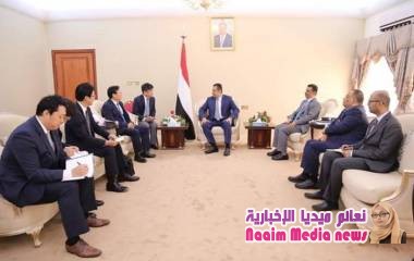 رئيس_الوزراء يستقبل رئيس شركة هونداي الكورية