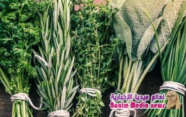 علاج التهاب الرئة بالاعشاب