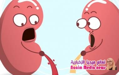 أسوأ الأطعمة للكلى: أعرفها وتجنبها