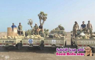 سيناتور أمريكي يطالب بلاده بالتصدي لكارثة الألغام الحوثية