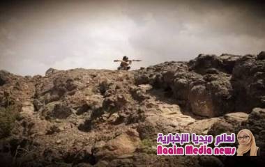 ألوية الدعم والإسناد تحبط تهريب قطع أثرية إلى خارج اليمن