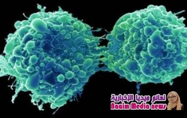 سرطان المثانة: فيروس زكام شائع "يقتل الخلايا الخبيثة ويمنع عودتها"