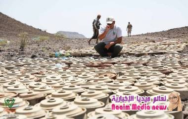 "مسام" يكشف انتزاع 900 لغم زرعها الحوثيون في مناطق مختلفة في اليمن