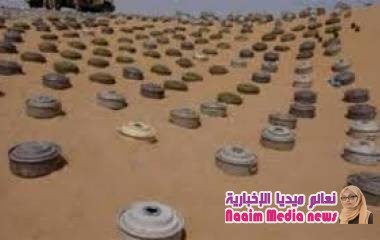 مسام" ينتزع الف و673 لغماً في اليمن خلال الأسبوع الأخير من شهر يوليو