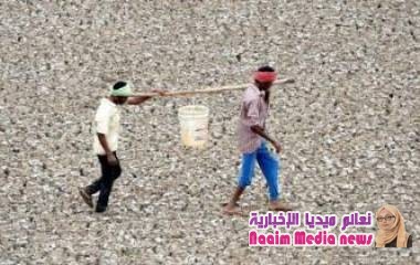 هل من المحتمل أن يعاني بلدك من نقص المياه؟