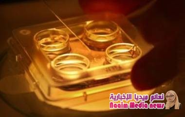 تجميد البويضات: فرصة لممارسة الأمومة في عمر متقدم