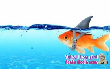 كيف تعرف أن الشخص الذي أمامك كاذب؟