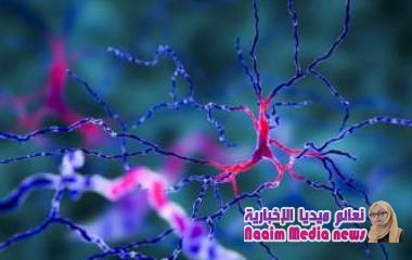 عقار لعلاج تضخم البروستاتا قد يكون مفيدا لمحاربة الشلل الرعاش