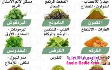 معلومات مهمه