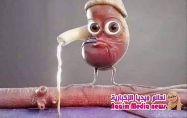 تعرف على الكيلة