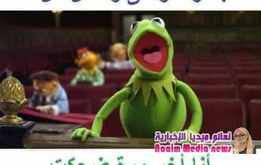 شوف الضحك على اصوله