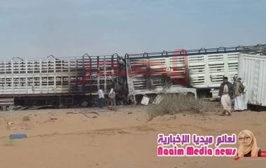 ارتفاع عدد الضحايا المدنيين جراء الاشتباكات بين القوات الحكومية و "عصابات تخريبية