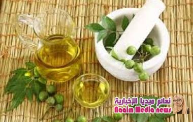زيت شجرة النيم الهندية .. قاهرة الشيخوخة وينبوع الشباب الدائم