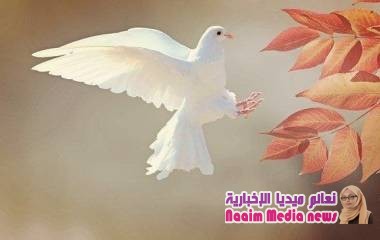 قصة_ قصيره_ جداً