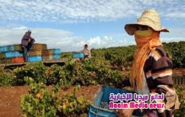 مندوبية التخطيط ترصد تغيرات "الوضع الغذائي"‬