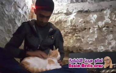 بلدة سورية تفوق أعداد القطط تعداد سكانها