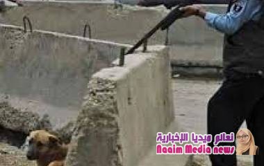 عبره للعقول الراقيه