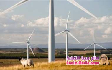 فيروس كورونا: خطة التعافي من الوباء "يجب أن تُعالج تغير المناخ"