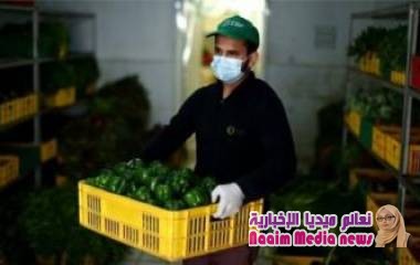فيرس كورونا: كيف يؤثر الوباء على الغذاء في البلدان العربية؟