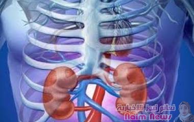 هكذا يؤذي السكري وظائف الكلى .. والفحوصات الدورية الضرورية