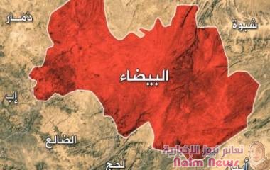 البيضاء: أبطال الجيش يوجّهون ضربة موجعة للمليشيات في جبهة قانية