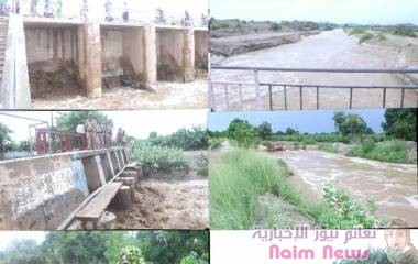 تدفق سيول كبيرة على دلتا أببن .. والمحافظ يوجه بتوزيع مياه السيول إلى الأراضي الزراعية