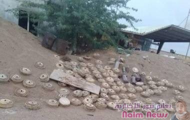 الفرق الهندسية تفكك حقل ألغام زرعته المليشيات الحوثية في الحديدة