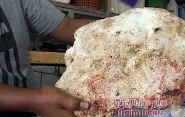 تايلاندي يعثر على عنبر حيتان يقدر بآلاف الدولارات