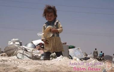 مأرب.. مليشيات الحوثي تقصف مخيم الميل وإصابة 7 نازحين بجروح خطيرة