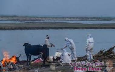 الجديد وصل  أخبار العالم إعلان وباء "العفن الأسود" في ولايتين بالهند