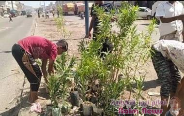 دشين المرحلة الاولى، من مبادرة تشجير رصيف الشارع العام بمدينة الحبيلين،
