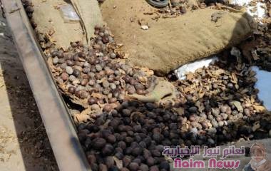 هيئة المواصفات والمقاييس : رفض واتلاف منتجات مخالفة في عدن وحضرموت والمهرة*