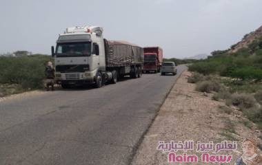 بالصور : أهالي مودية يمنعون تصدير اسماك عدن وابين إلى السعودية وسلطنة عٌمان*