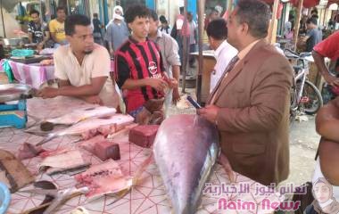 *مدير عام البريقة يؤكد بإتخاذ الإجراءات الرادعة بحق المتلاعبين بأسعار اللحوم والأسماك*