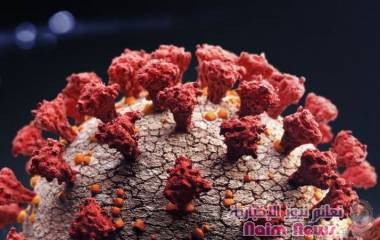 فيروس كورونا: متحور "دلتا بلس" الجديد قد يكون أكثر قدرة على الانتشار والعدوى