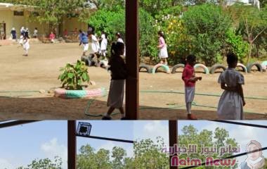 عدن/. مؤسسة السلام للتنميه الانسانية وحماية البيئة /تدشن حملة التشجير