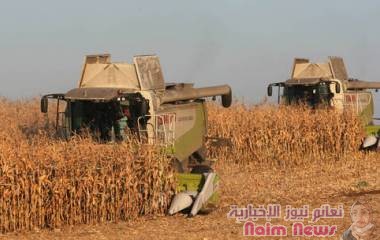 الكشف عن قيمة صادرات المنتجات الزراعية من روسيا