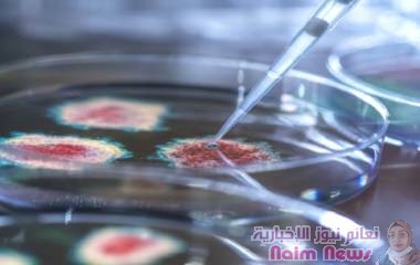 العلماء يعتقدون أن البشر نقلوا الفيروسات إلى الحيوانات أكثر مما يعتقد فعلا!