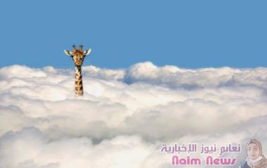 لماذا تختلف أعمار الحيوانات المتنوعة؟