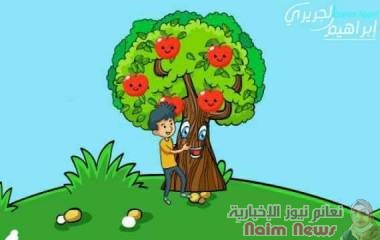 شجرة التفاح