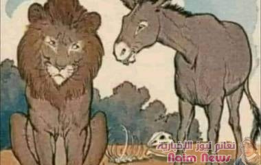 جدال الاحمق