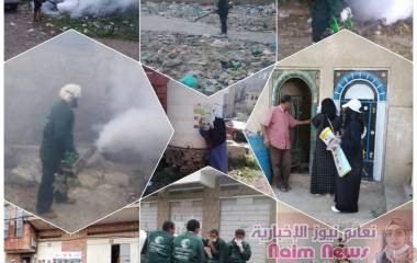 تعز.. اختتام حملة مكافحة البعوض الناقل لوباء حمى الضنك 