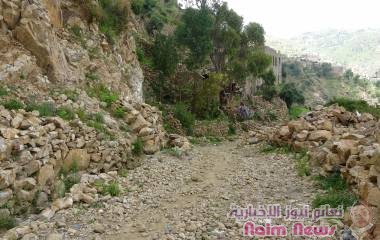 اهالي تبيح بصبر تعز بين احتياج الطريق وتاهيل المدرجات الزراعيه